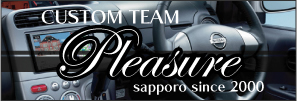 CUSTOM TEAM Pleasure